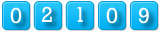 website counter