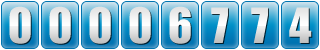 website counter