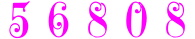 free website counter